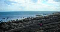 Crail foreshore